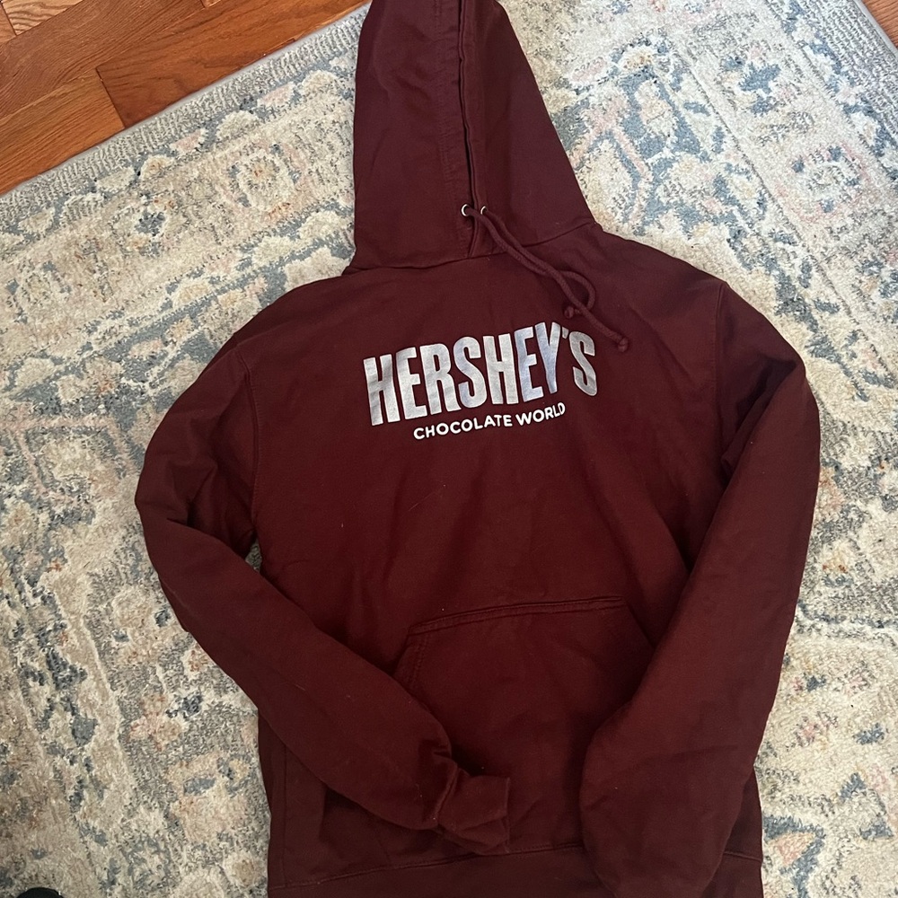 Hershey Park brown hoodie
